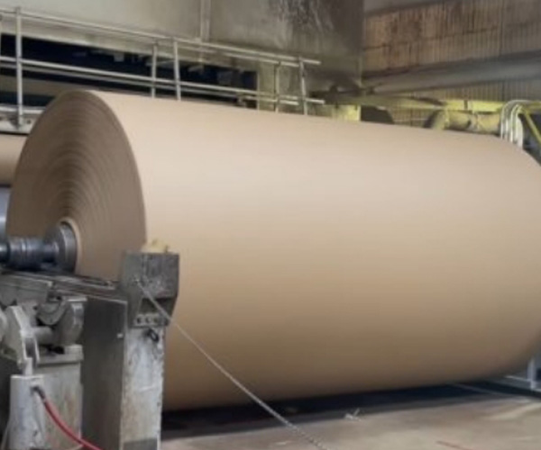 Erkundung der aktuellen Landschaft und der zukünftigen Trends der Papier industrie