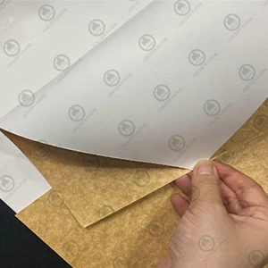 Beschichtetes Brett Kraft zurück