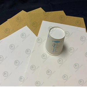 Unbeschichtetes Cupstock-Basis papier