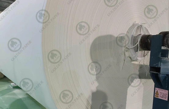 China Paper Industry Association kündigt neue Initiative für nachhaltiges Papier an