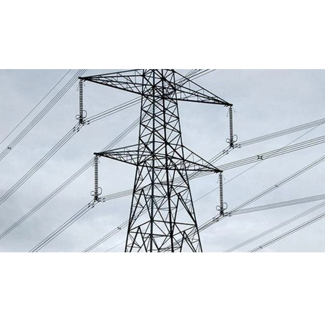 Energiekrise in Neuseeland: Zellstoff riese musste zwei Mühlen stilllegen