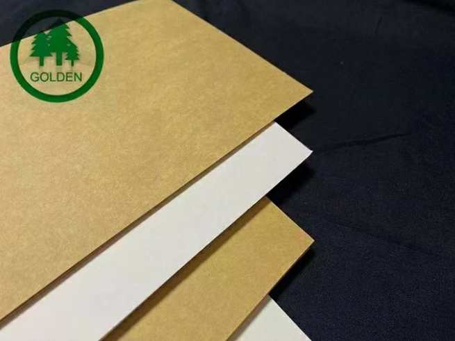 Das Ersetzen von Kunststoff durch Papier treibt neue Nachfrage an, und Papier unternehmen beschleunigen das Layout der Produktions kapazität für Spezial papier