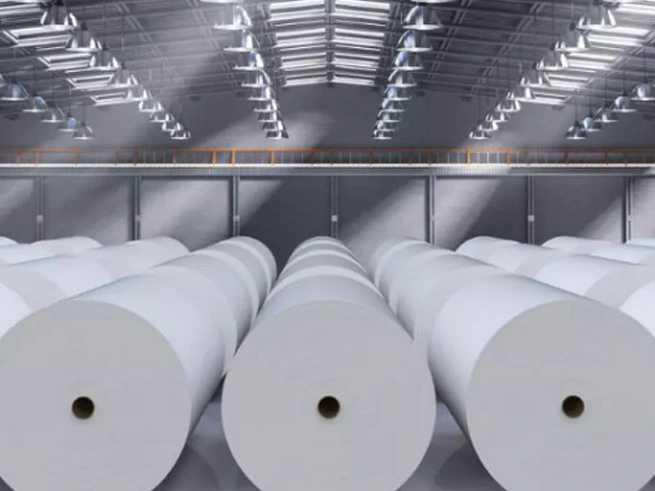 Papier industrie von Januar bis November 2024