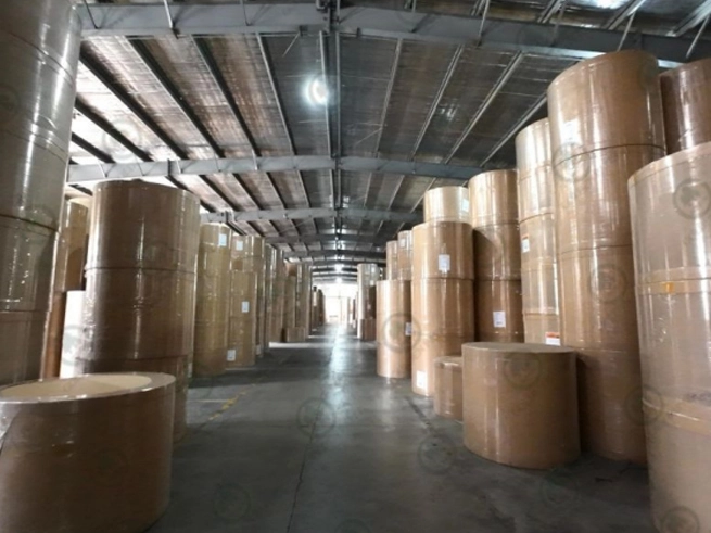 Im Jahr 2024 übers tieg Chinas Papier-und Karton produktion 150 Millionen Tonnen und stellte damit einen historischen Rekord auf!