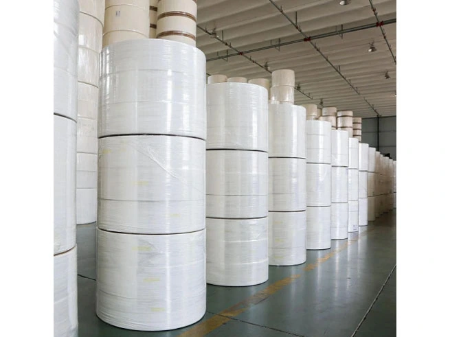 Globaler Markt bericht für Toiletten papier: Wichtige Trends und Wachstums prognose