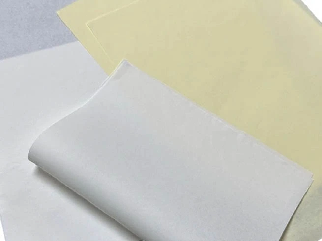 Einführung in das Bibel papier von Golden Paper: Hergestellt für das Vermächtnis