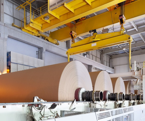 Was werden die Rohstoffe in der Papier herstellung verwendet?