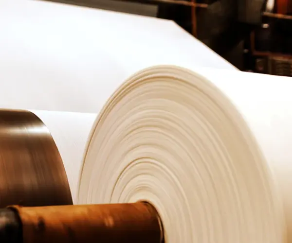 Was ist der Unterschied zwischen Zellstoff und Papier?