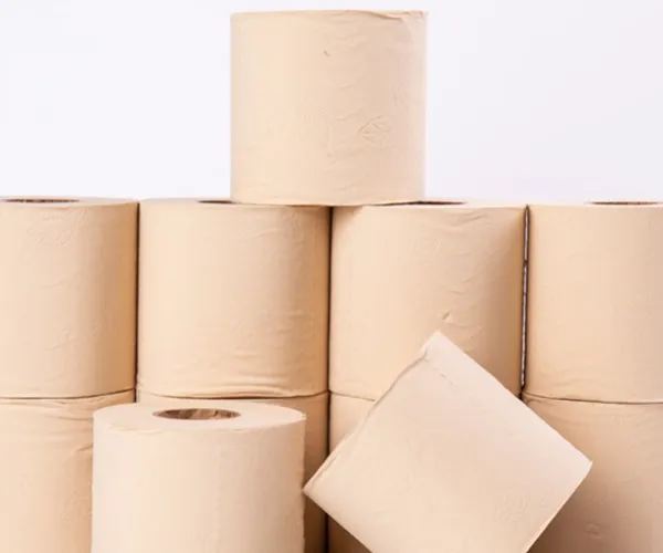 Bambus Zellstoff versorgung und Qualitäts kontroll system