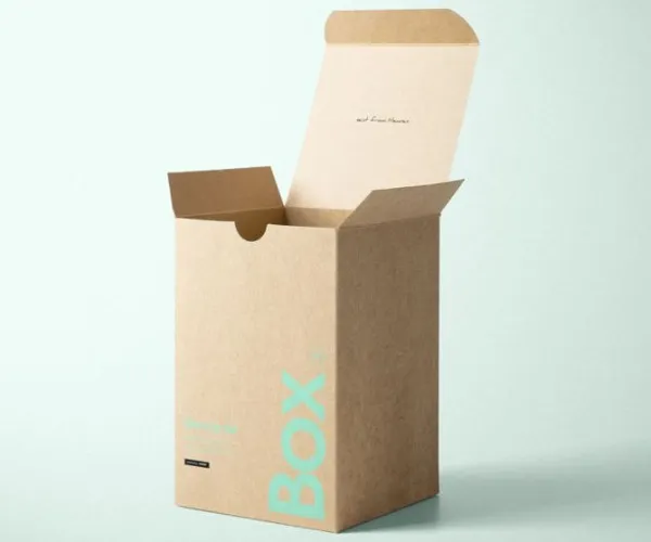 Kraft papier vs. Duplex Board: Die wichtigsten Unterschiede verstehen