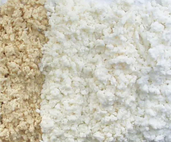 Ein vollständiger Leitfaden für Zellstoff typen und ihre Verwendung